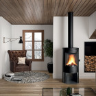 Salamandra a Lenha Neosen + - Invicta